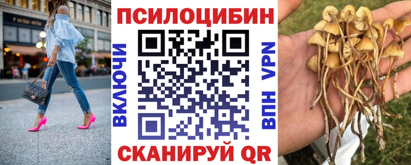 Псилоцибиновые грибы мицелий Купить закладки Мамоново